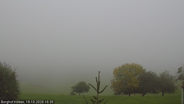 Archiv Foto Webcam Forggensee - Blick vom Berghof Kinker