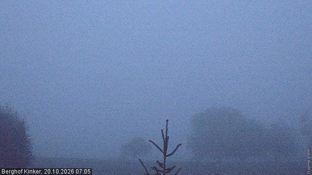Archived image Webcam Lake Forggen - View from vacation home Kinker