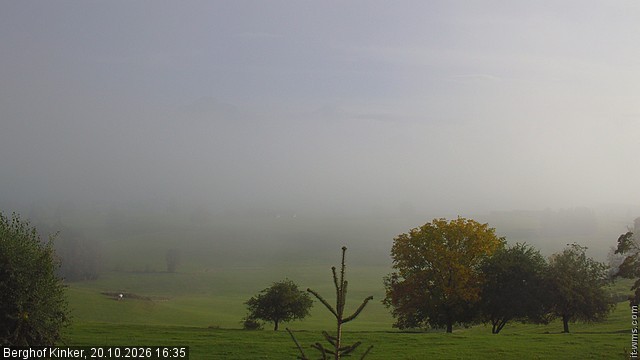 Archived image Webcam Lake Forggen - View from vacation home Kinker