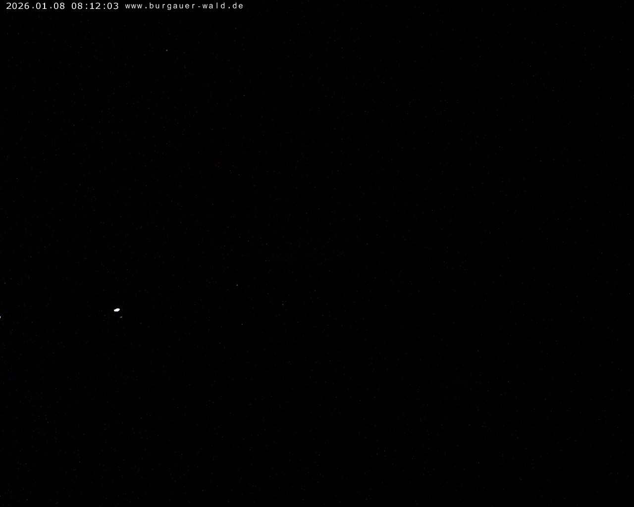 Archiv Foto Webcam Burgauer Wald