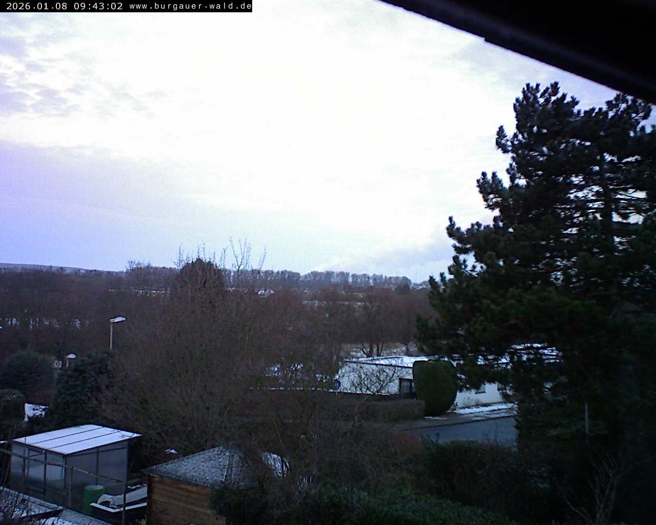 Archiv Foto Webcam Burgauer Wald