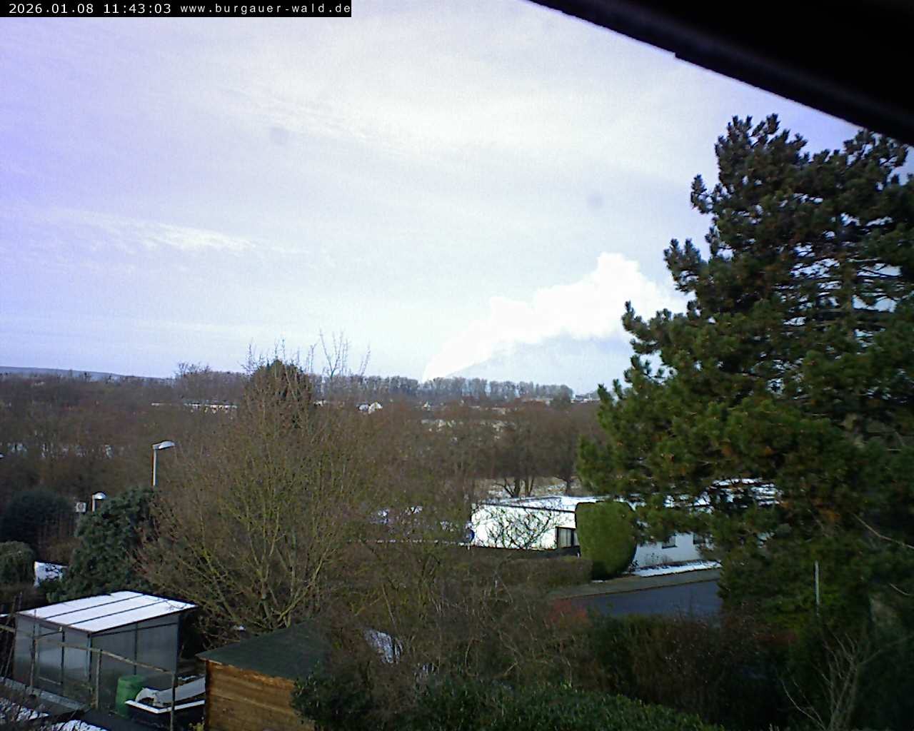 Archiv Foto Webcam Burgauer Wald