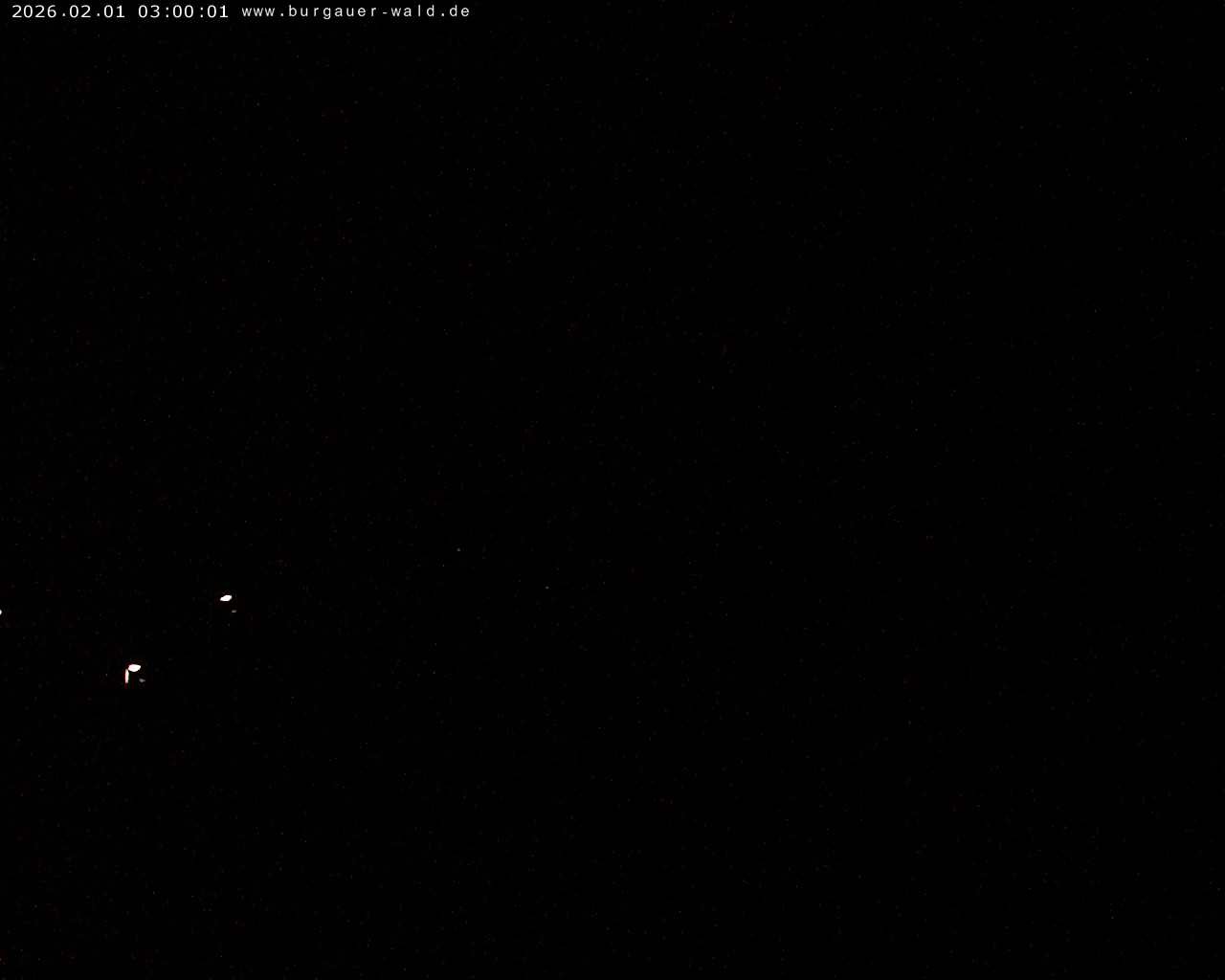 Archiv Foto Webcam Burgauer Wald