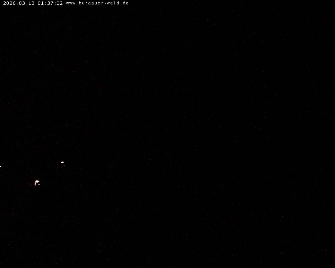 Archiv Foto Webcam Burgauer Wald