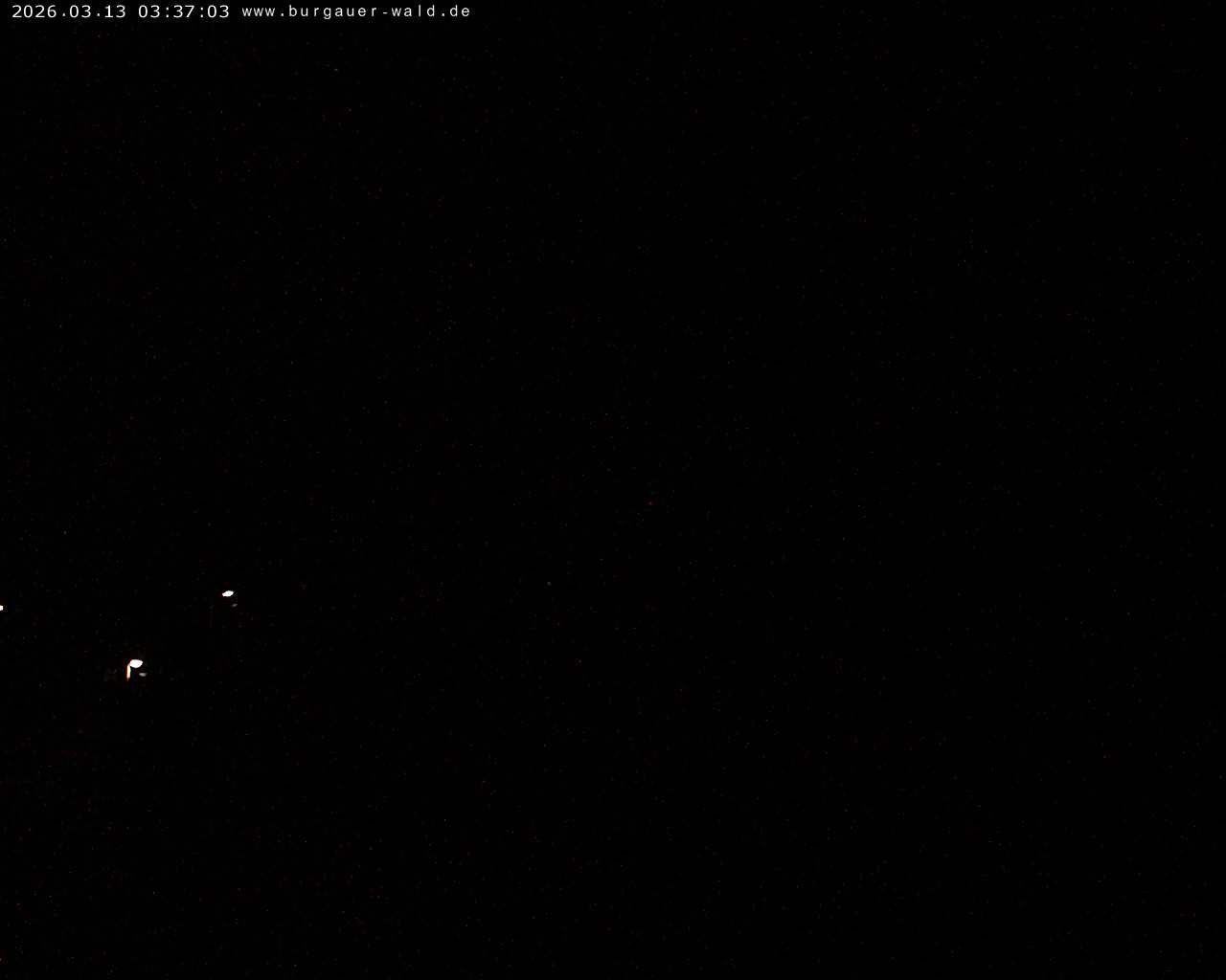 Archiv Foto Webcam Burgauer Wald