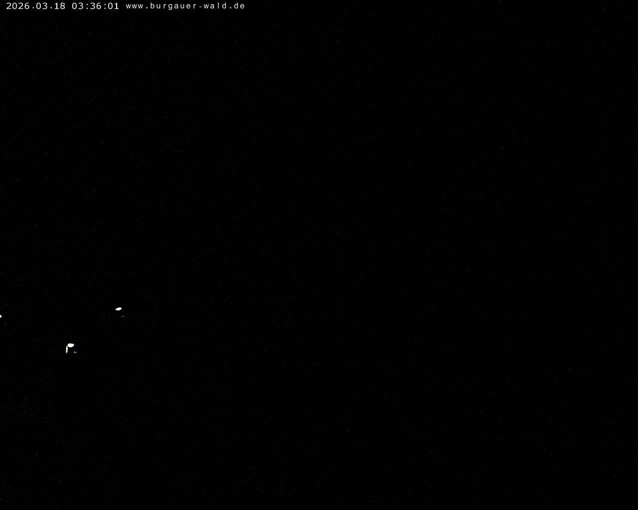Archiv Foto Webcam Burgauer Wald