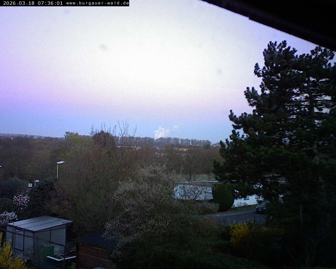 Archiv Foto Webcam Burgauer Wald