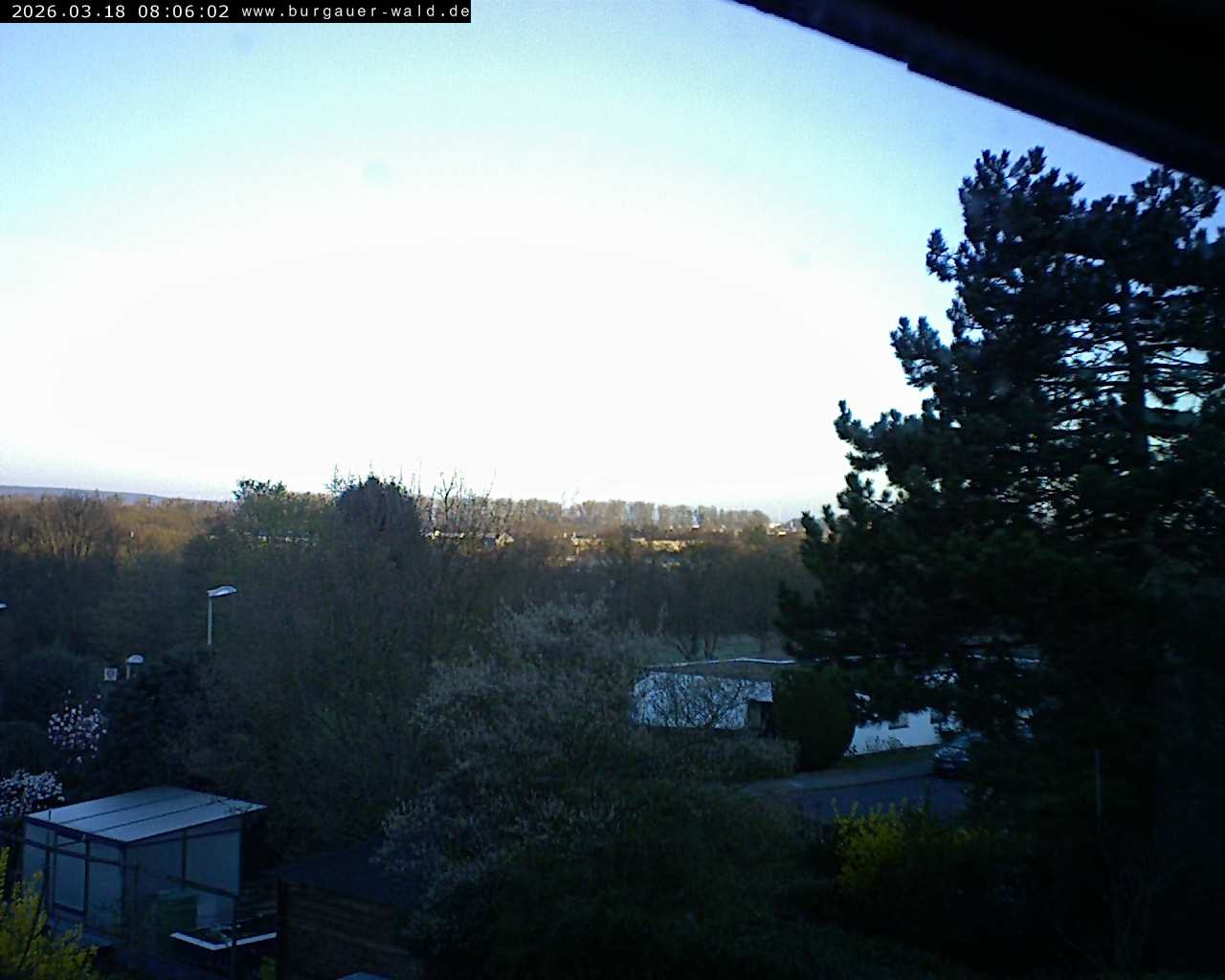 Archiv Foto Webcam Burgauer Wald