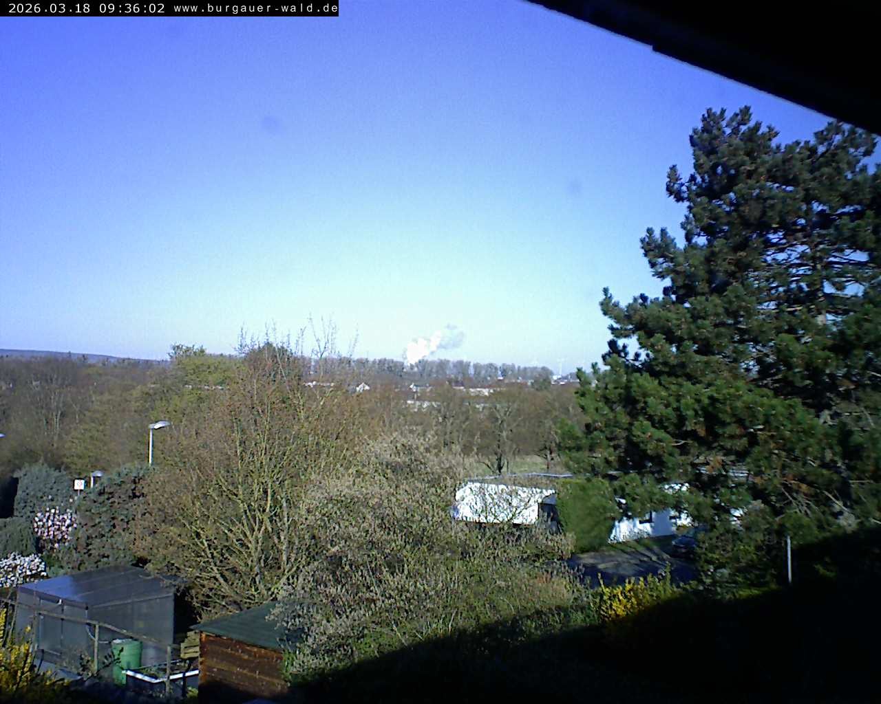 Archiv Foto Webcam Burgauer Wald