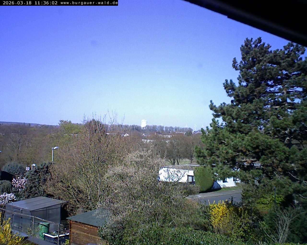 Archived image Webcam Burgauer Wald in North Rhine-Westphalia