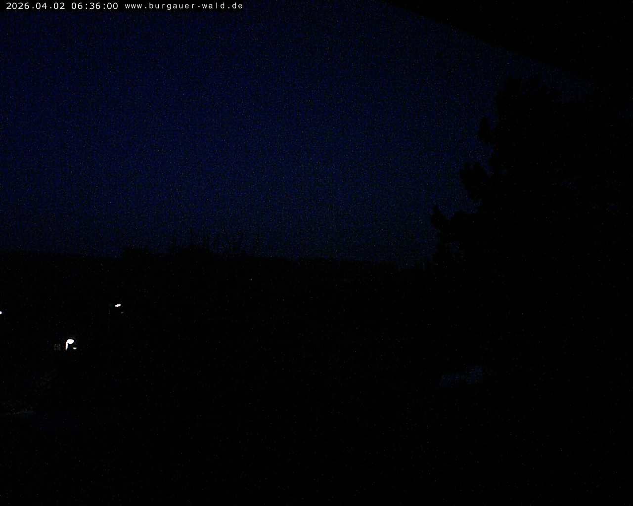 Archiv Foto Webcam Burgauer Wald