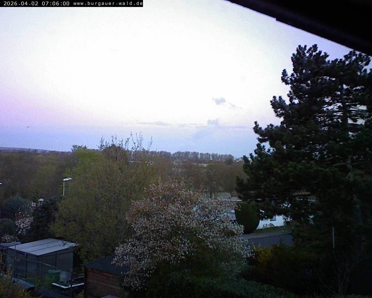 Archiv Foto Webcam Burgauer Wald