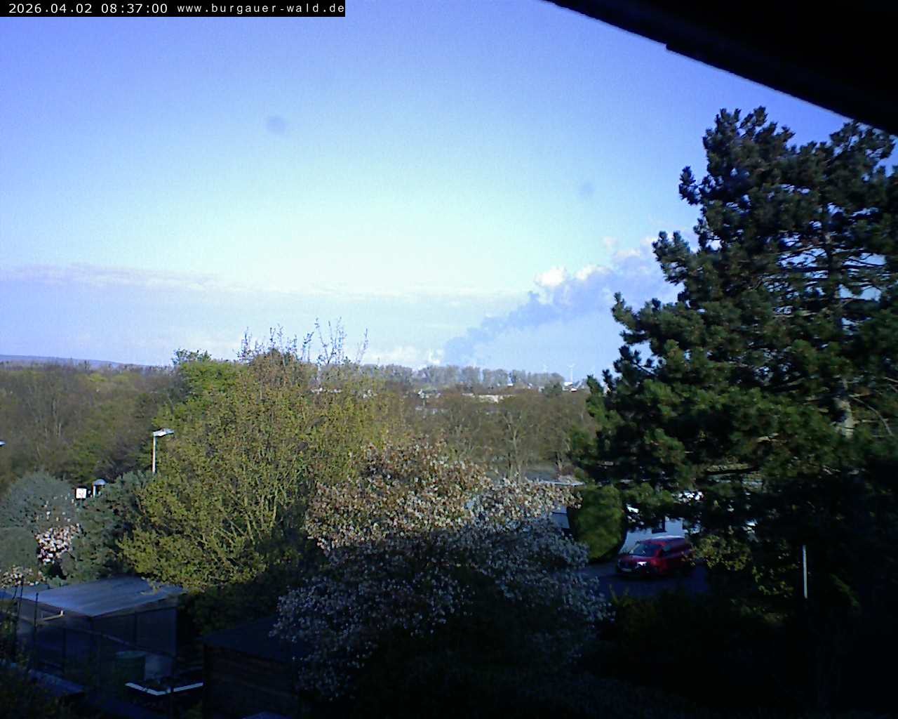 Archiv Foto Webcam Burgauer Wald