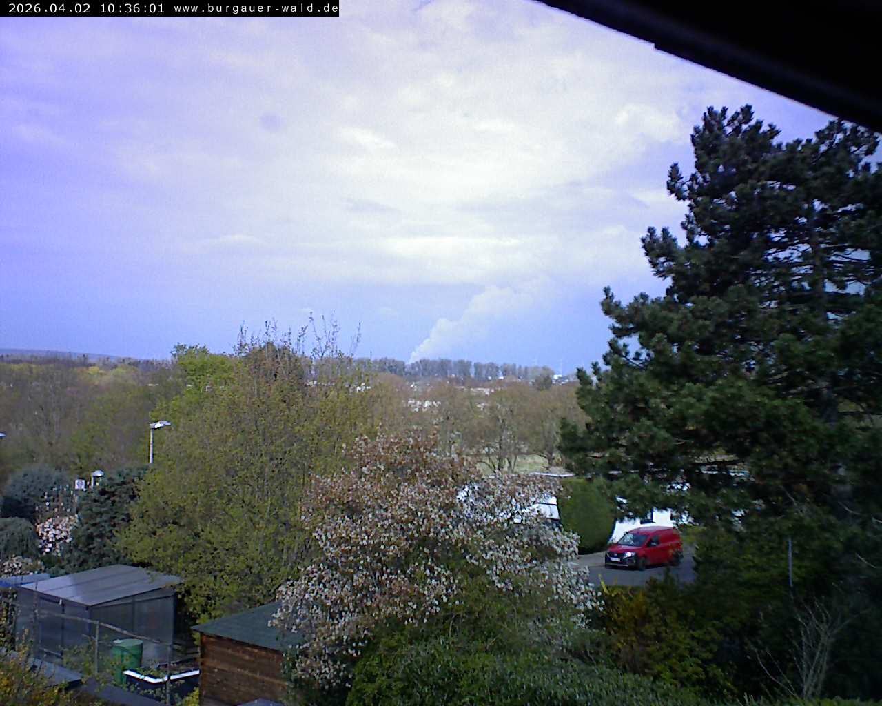 Archiv Foto Webcam Burgauer Wald