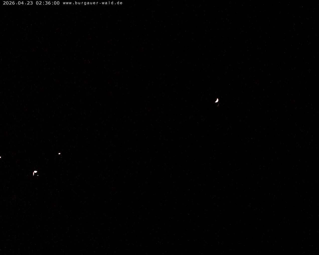 Archiv Foto Webcam Burgauer Wald