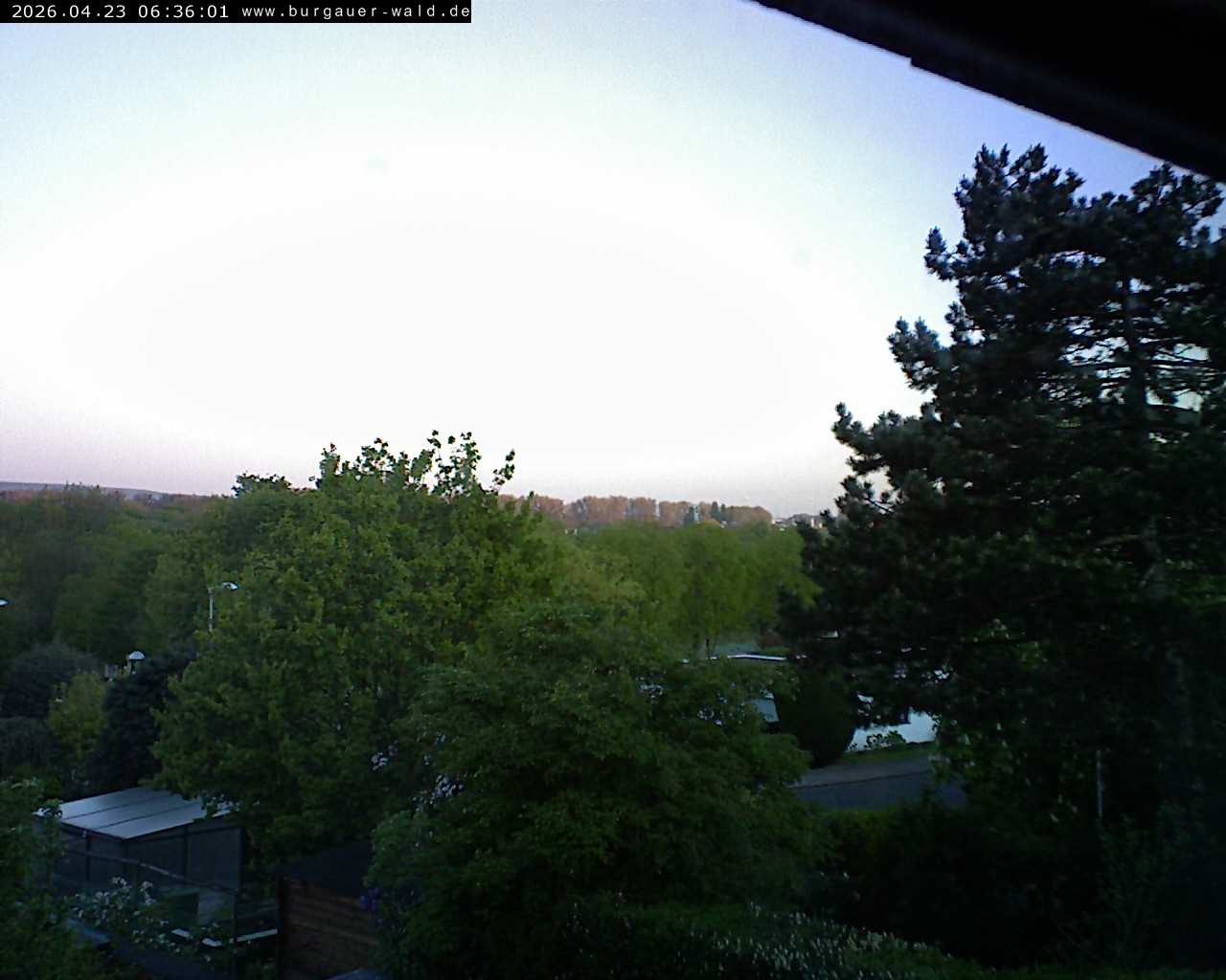 Archiv Foto Webcam Burgauer Wald