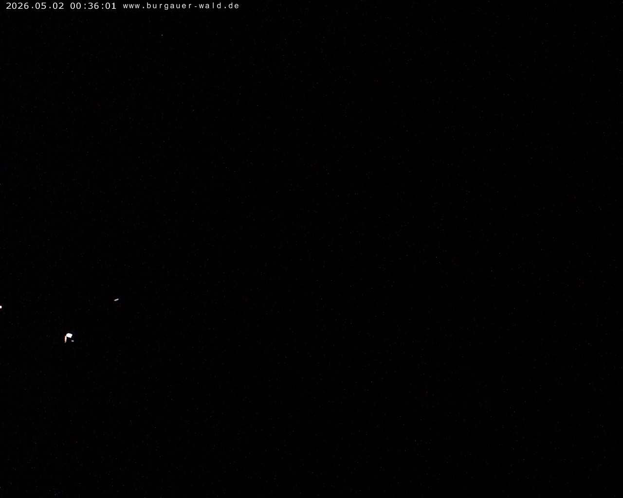 Archiv Foto Webcam Burgauer Wald