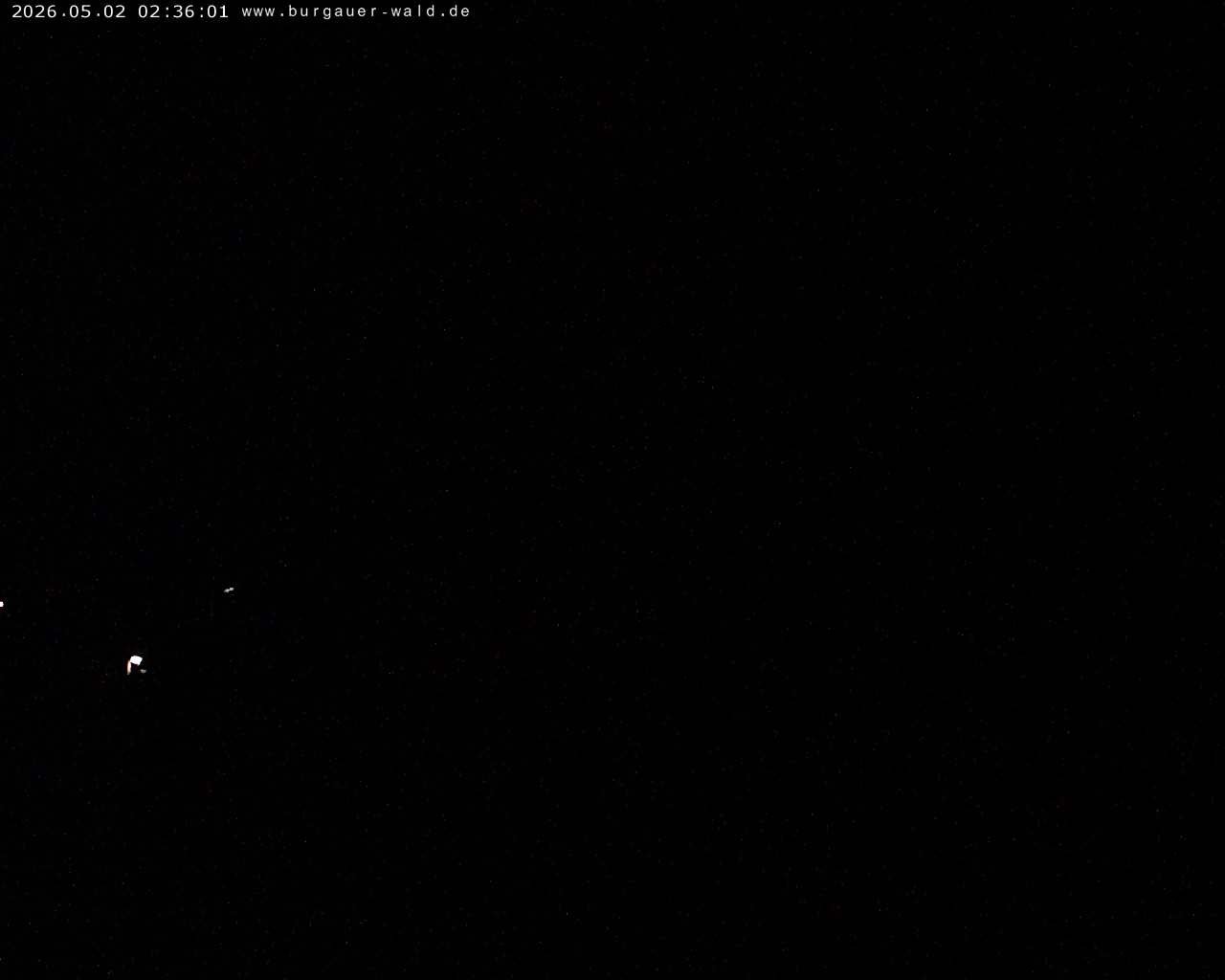 Archiv Foto Webcam Burgauer Wald