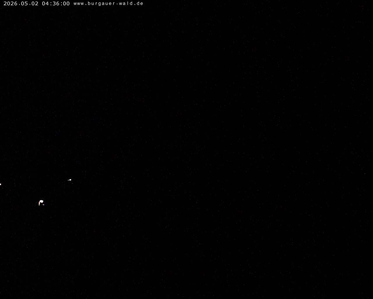 Archiv Foto Webcam Burgauer Wald
