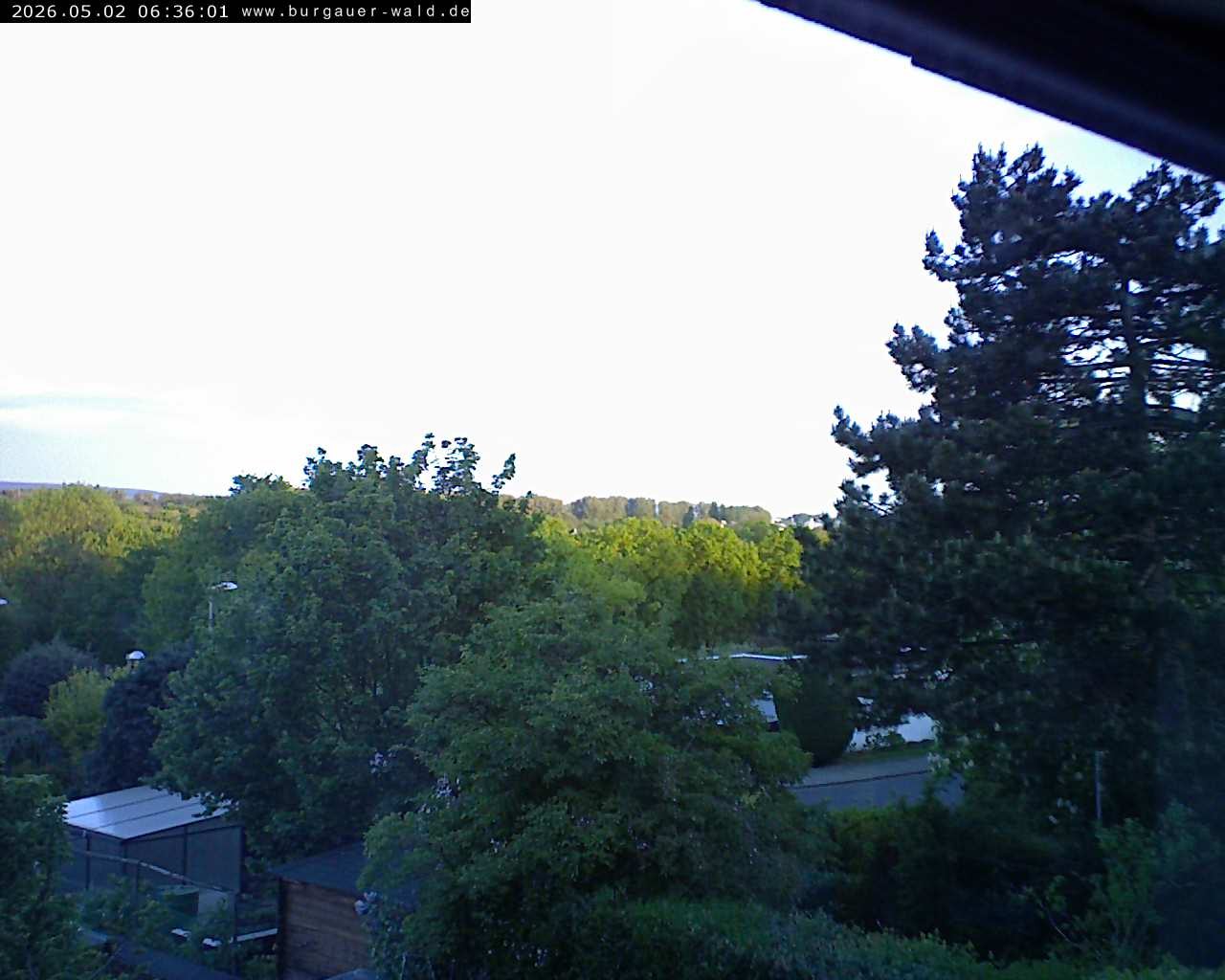 Archiv Foto Webcam Burgauer Wald