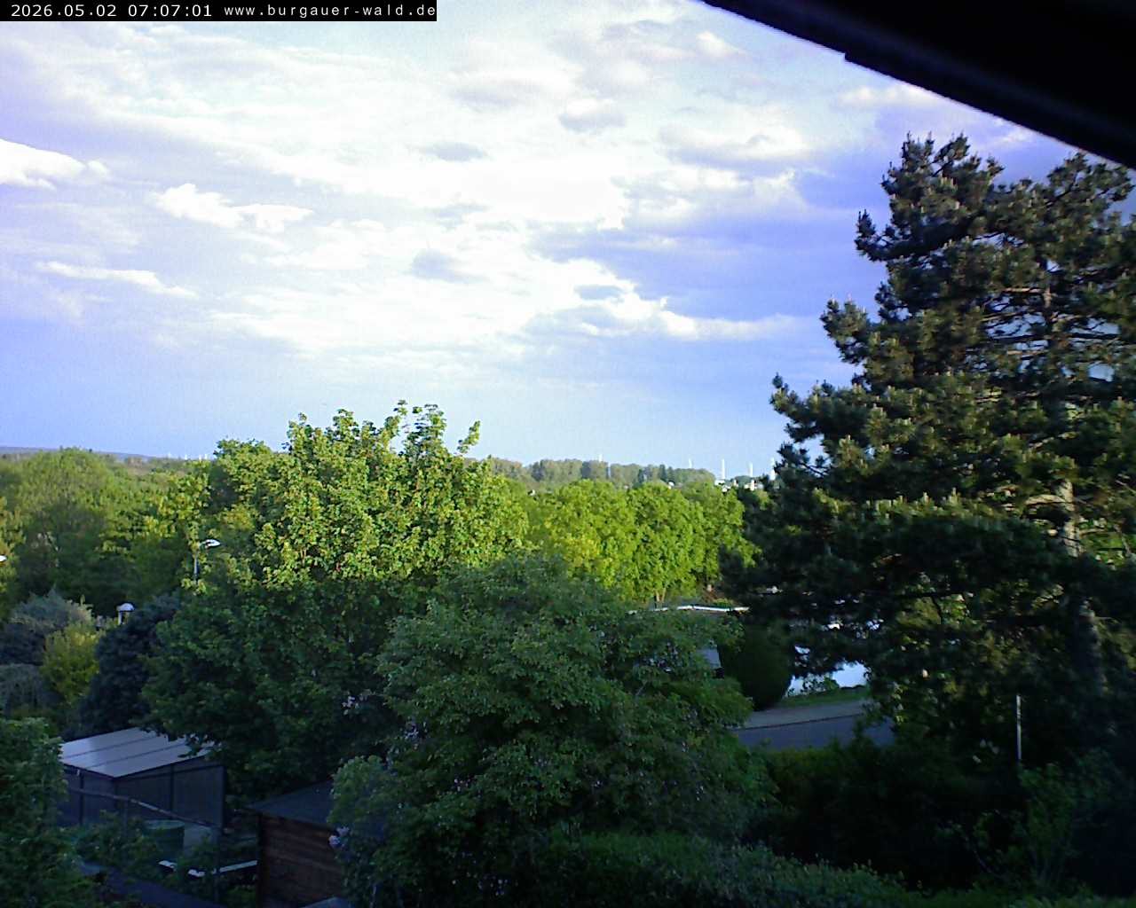 Archiv Foto Webcam Burgauer Wald