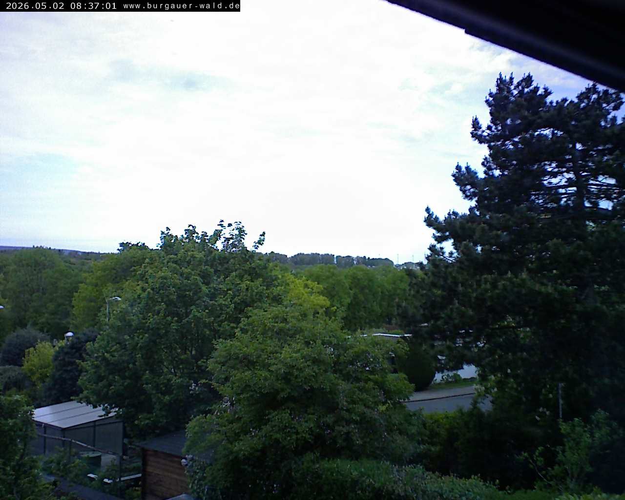 Archiv Foto Webcam Burgauer Wald