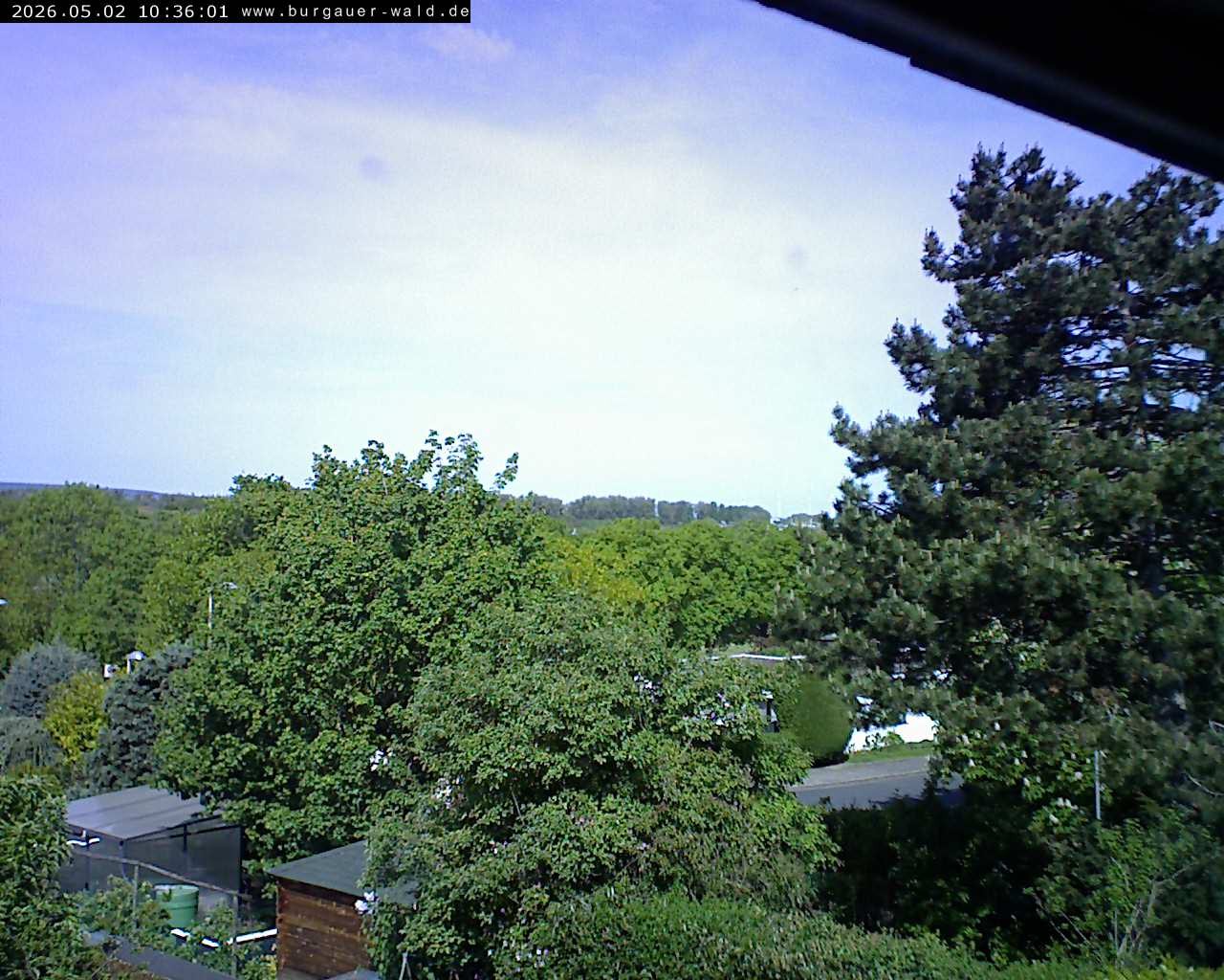 Archiv Foto Webcam Burgauer Wald