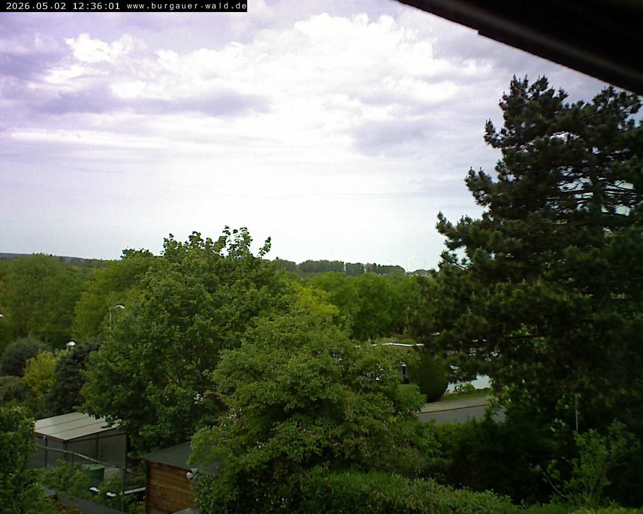 Archiv Foto Webcam Burgauer Wald