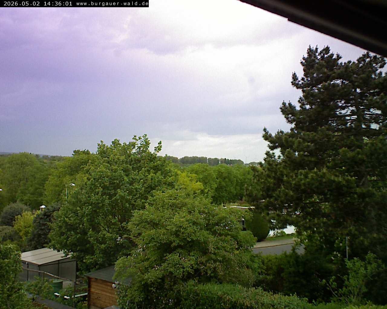 Archived image Webcam Burgauer Wald in North Rhine-Westphalia