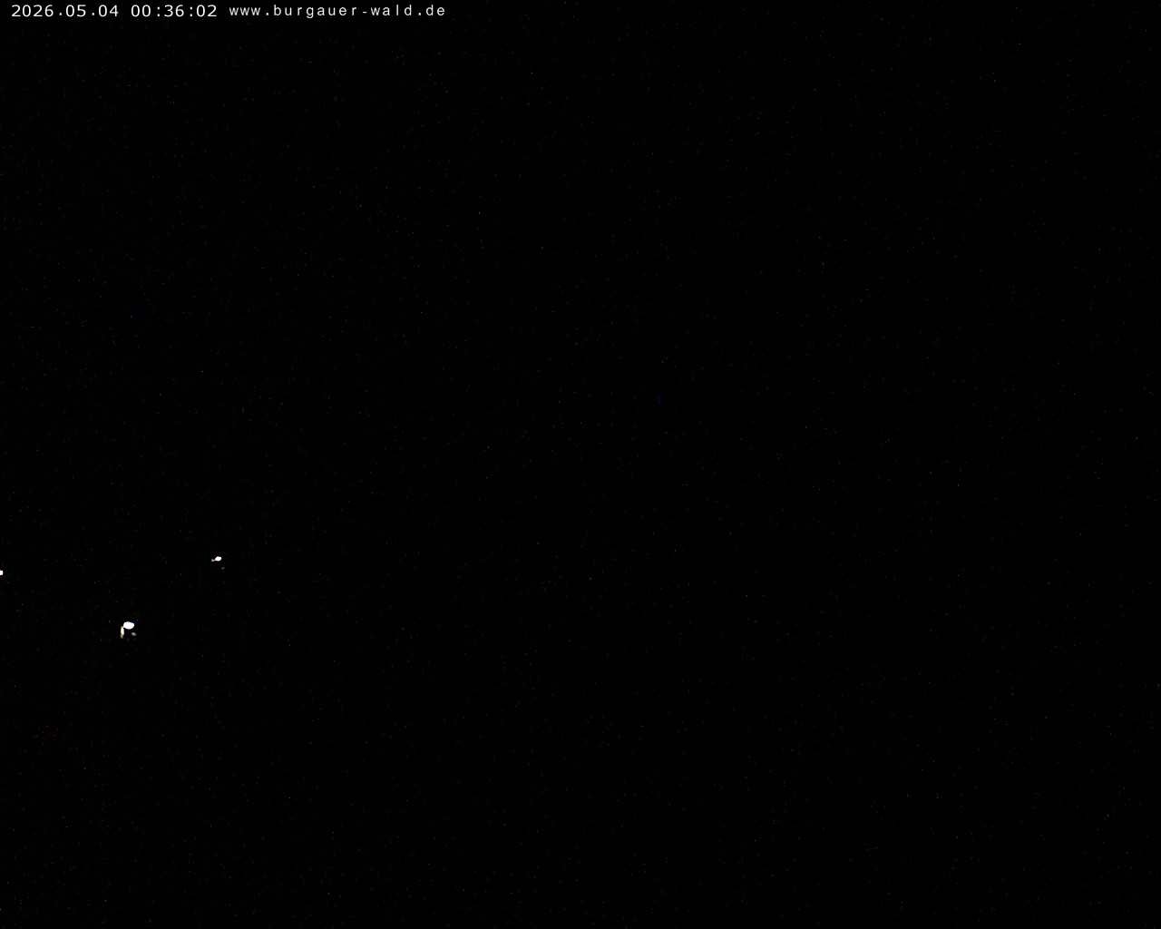 Archived image Webcam Burgauer Wald in North Rhine-Westphalia