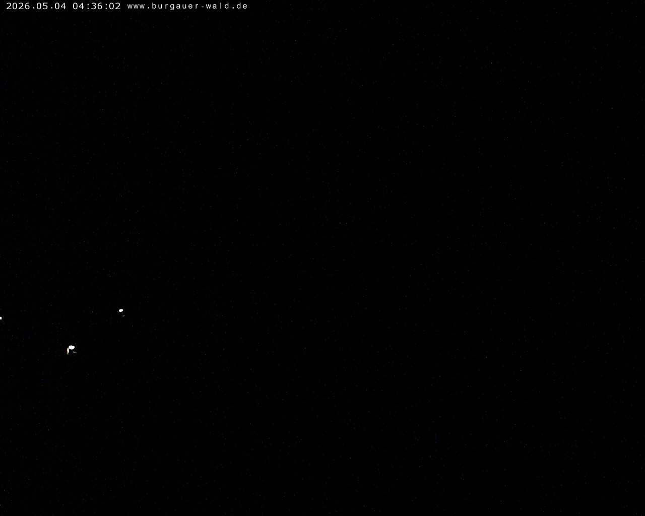 Archived image Webcam Burgauer Wald in North Rhine-Westphalia