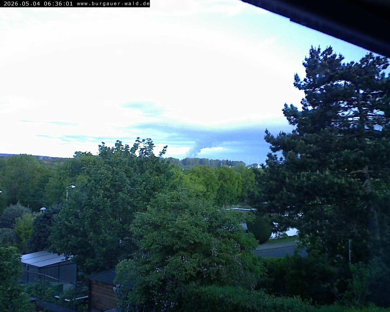 Archived image Webcam Burgauer Wald in North Rhine-Westphalia