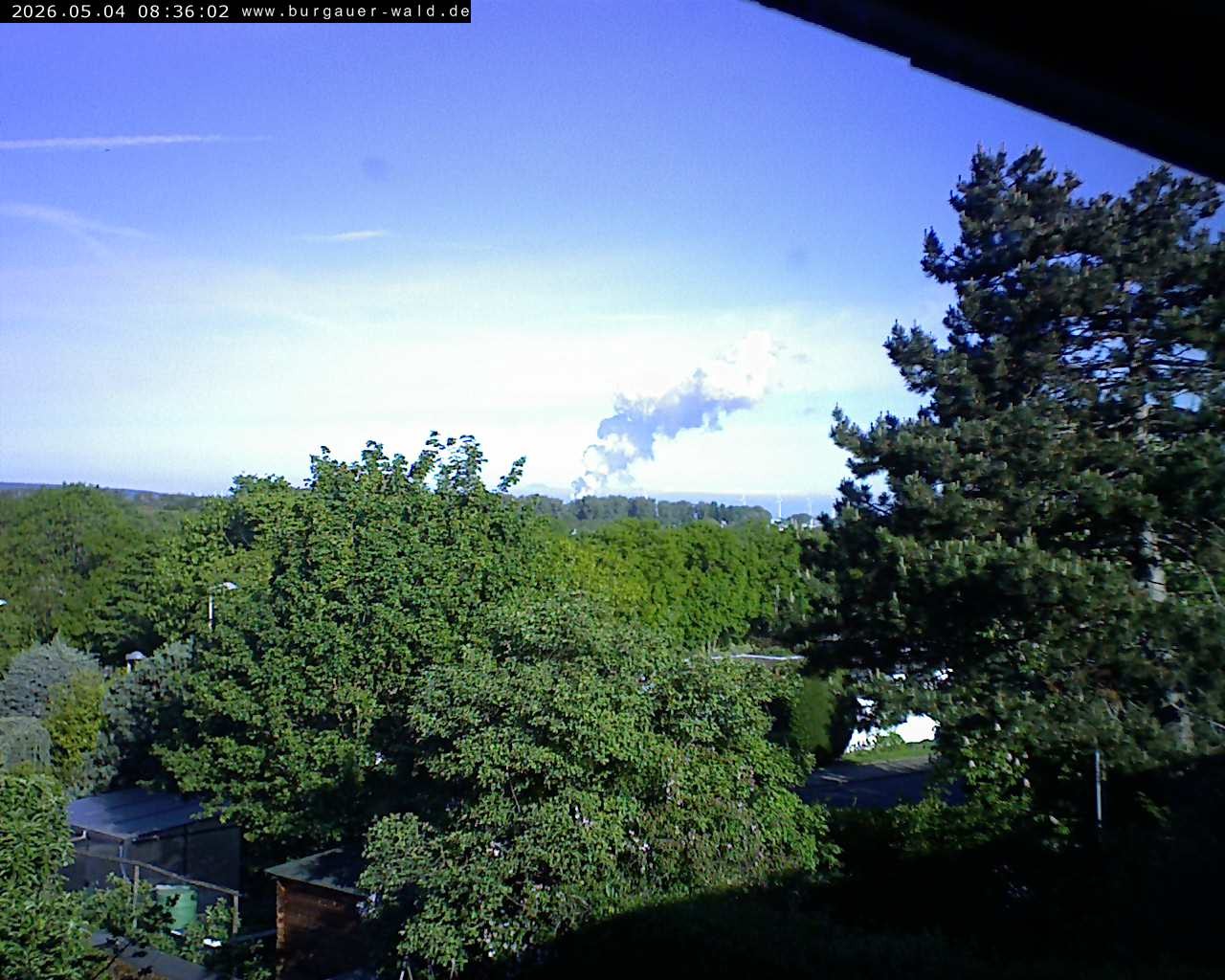 Archived image Webcam Burgauer Wald in North Rhine-Westphalia