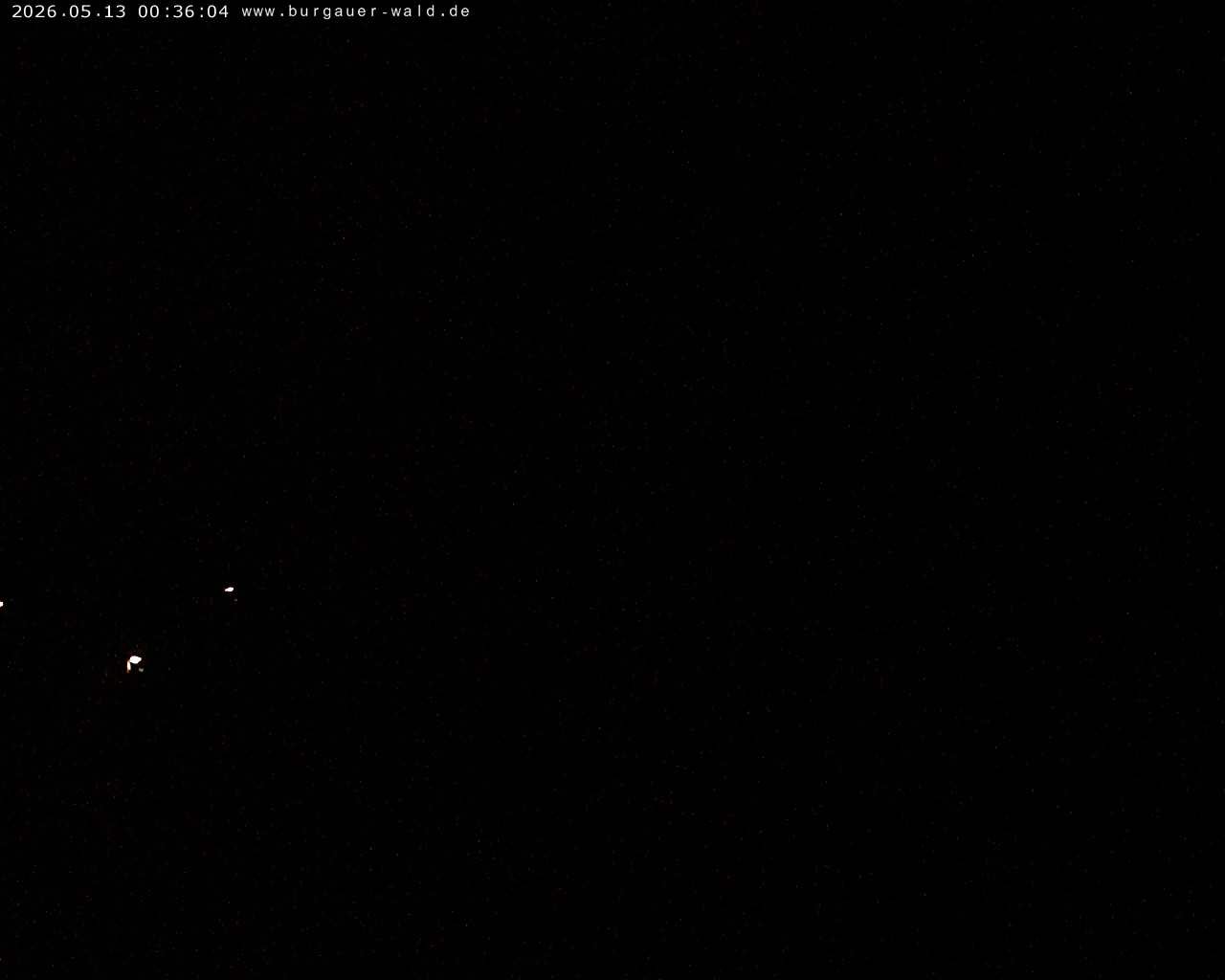 Archiv Foto Webcam Burgauer Wald