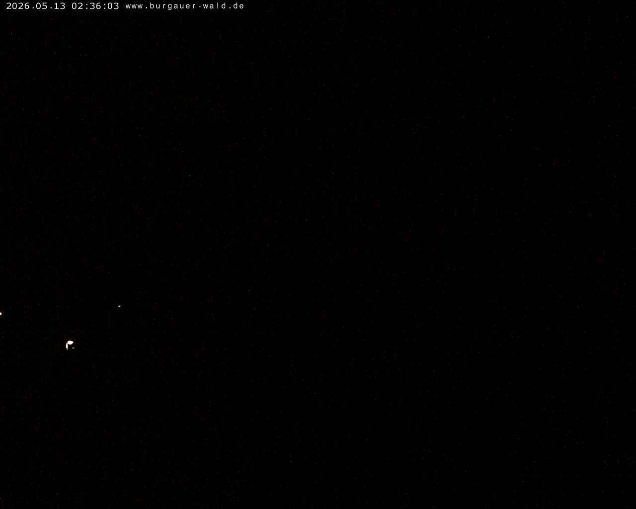 Archiv Foto Webcam Burgauer Wald