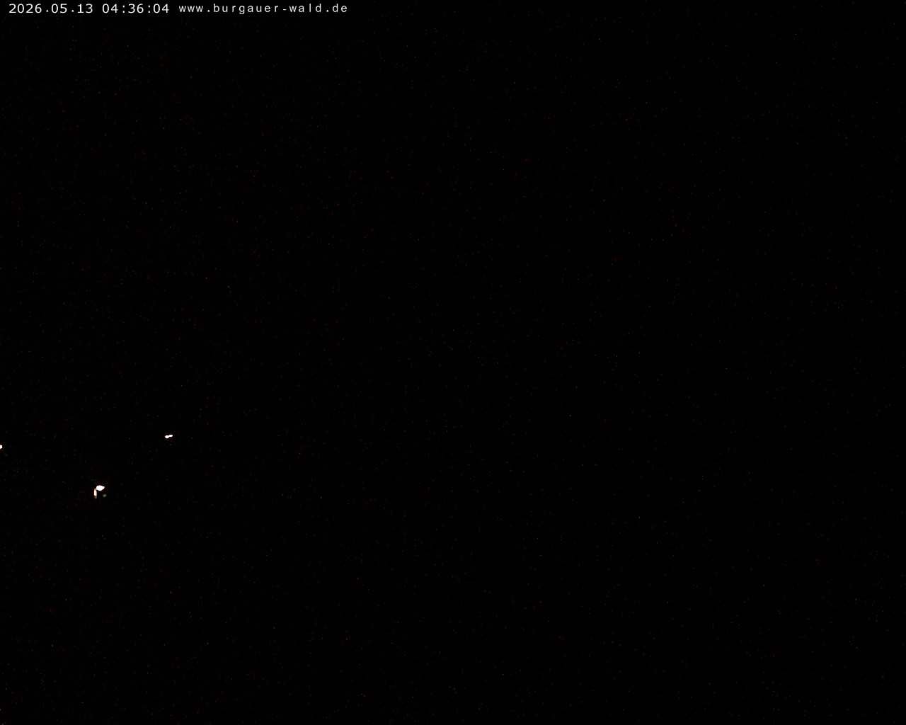 Archiv Foto Webcam Burgauer Wald