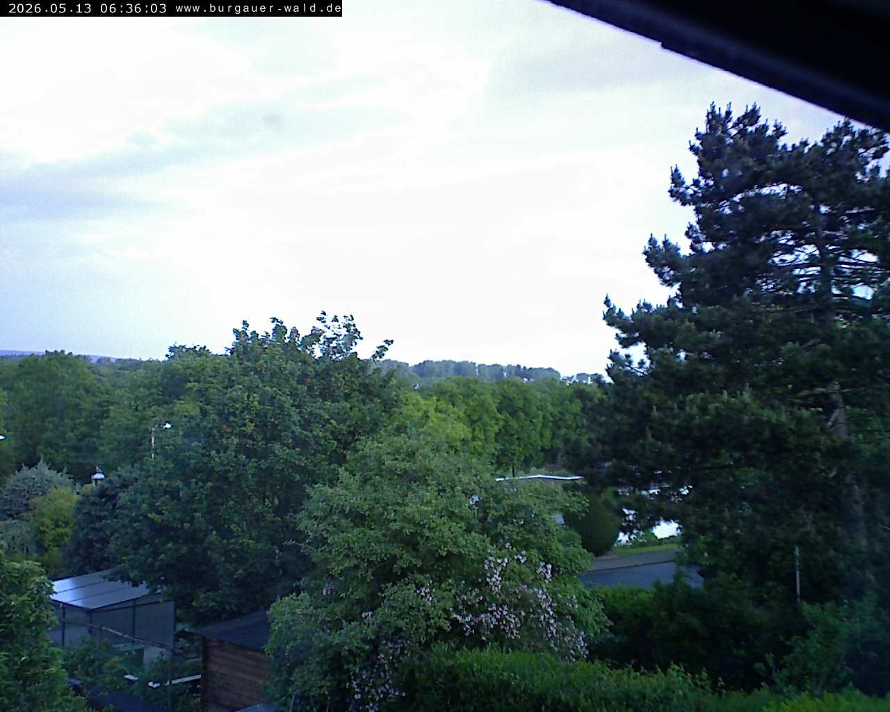 Archiv Foto Webcam Burgauer Wald