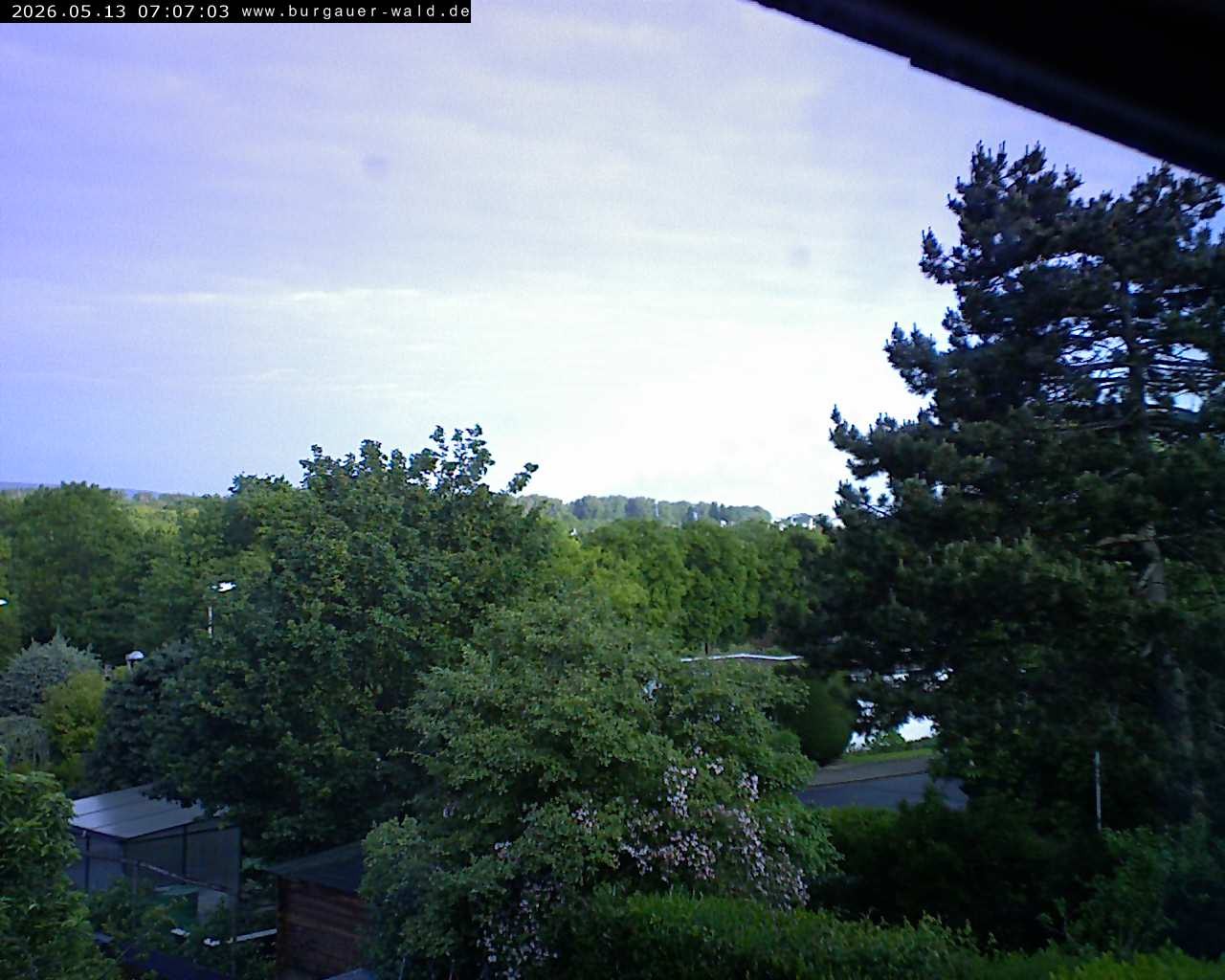 Archiv Foto Webcam Burgauer Wald