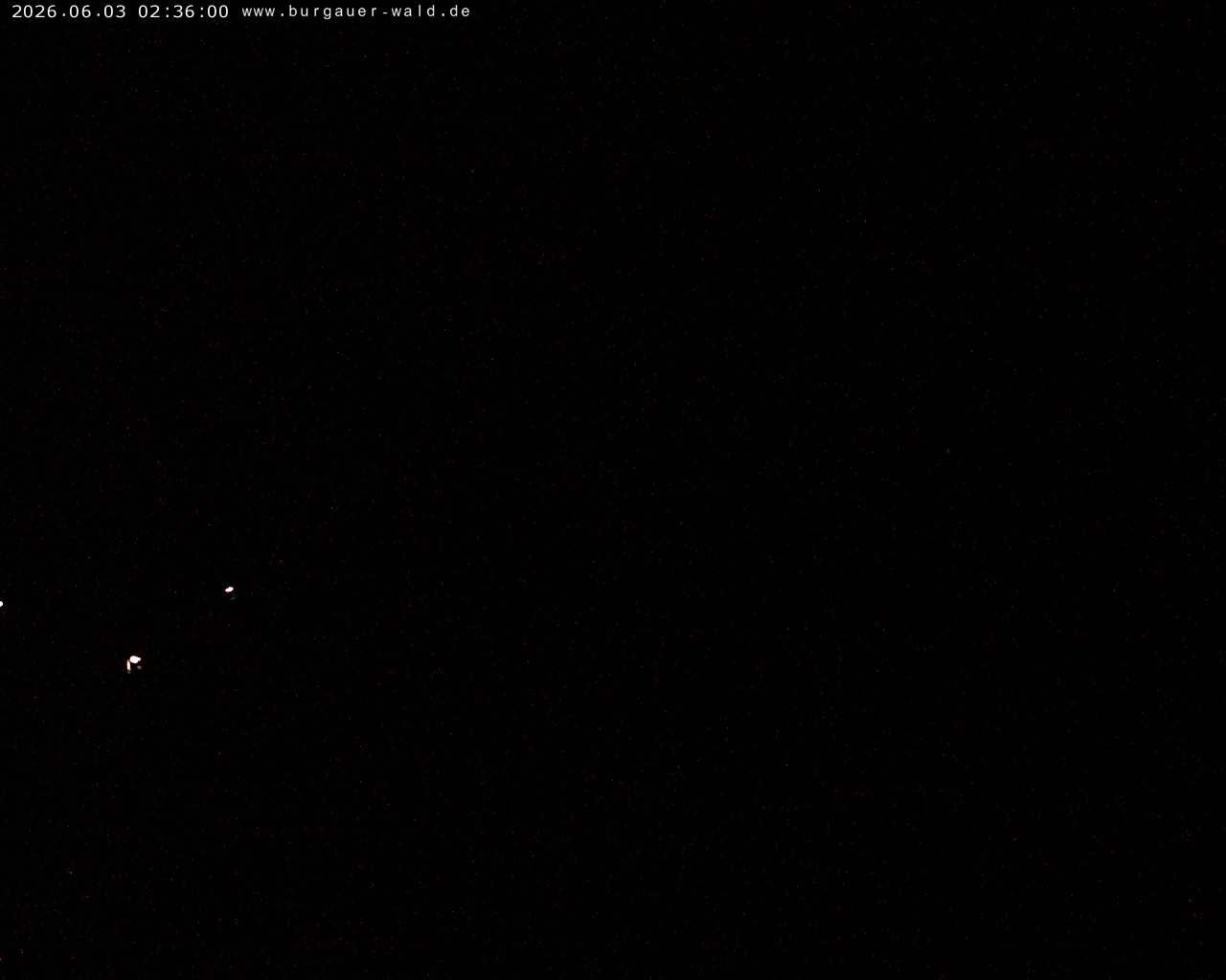 Archiv Foto Webcam Burgauer Wald