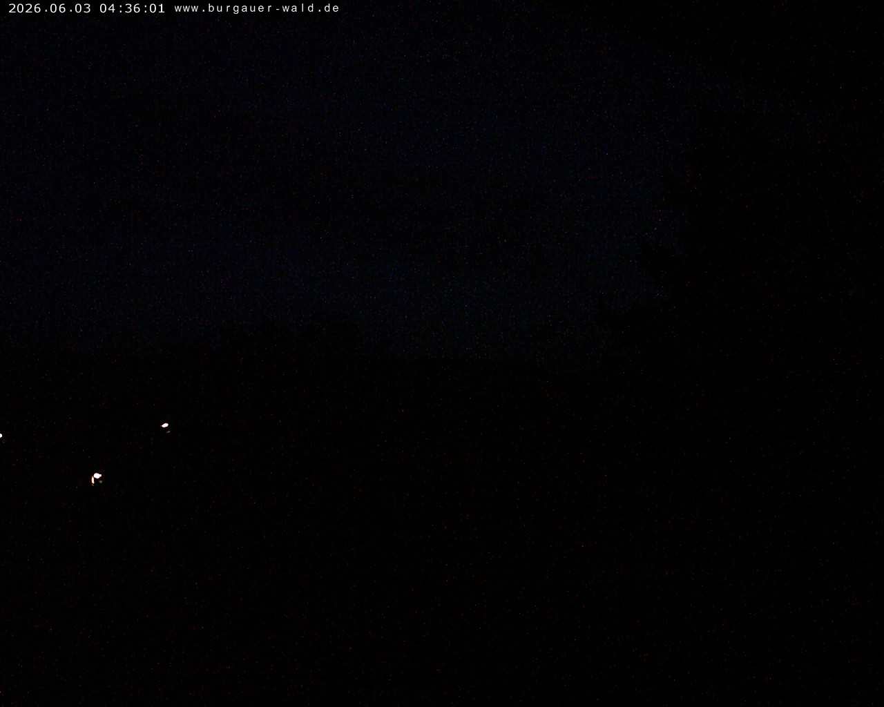 Archiv Foto Webcam Burgauer Wald