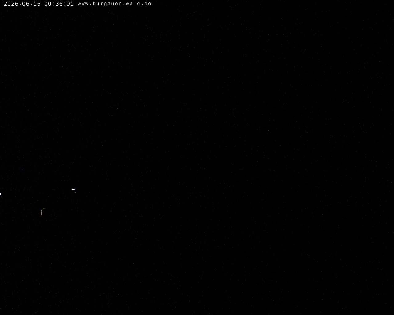 Archiv Foto Webcam Burgauer Wald