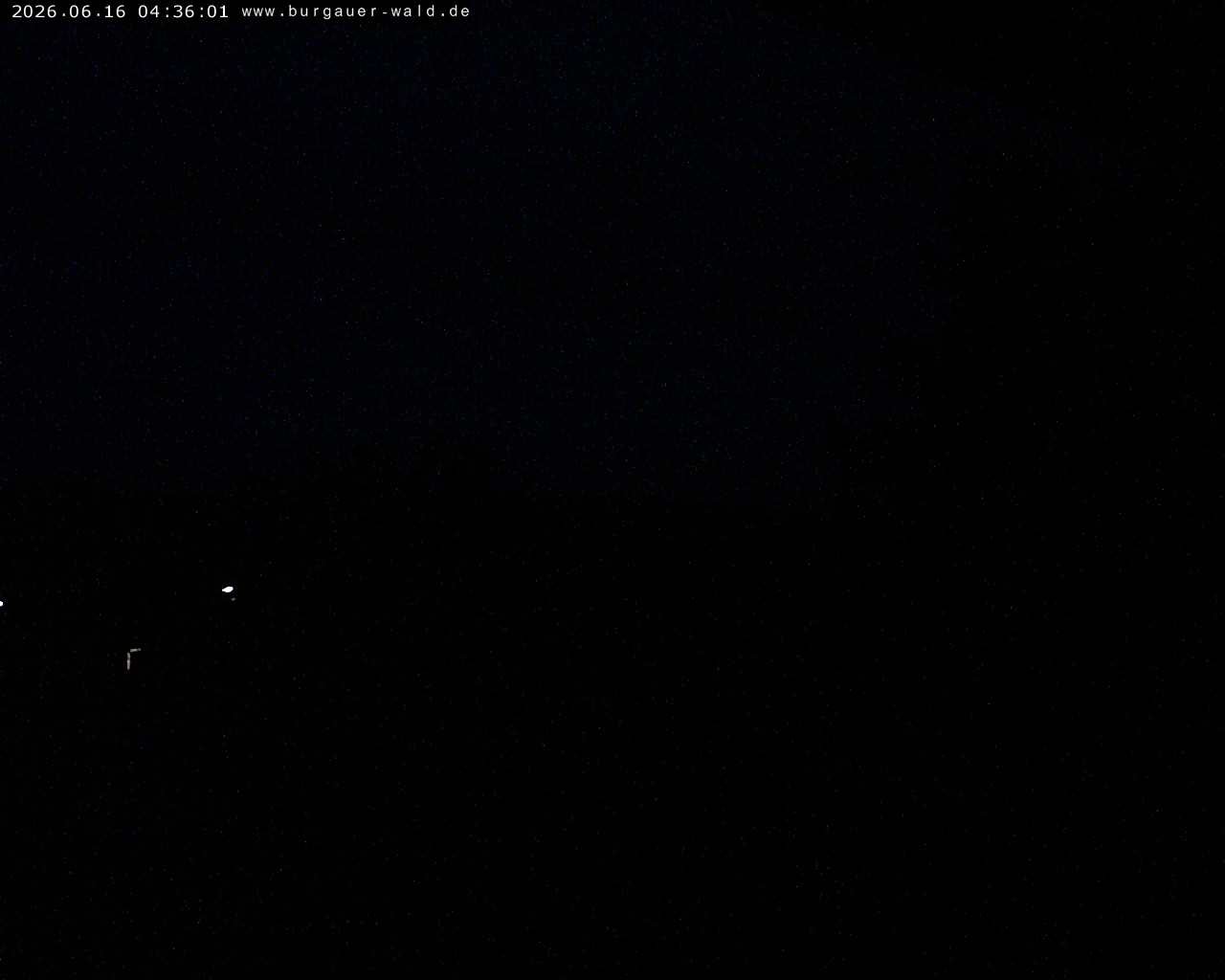 Archiv Foto Webcam Burgauer Wald