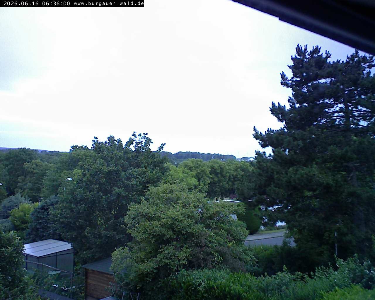 Archiv Foto Webcam Burgauer Wald