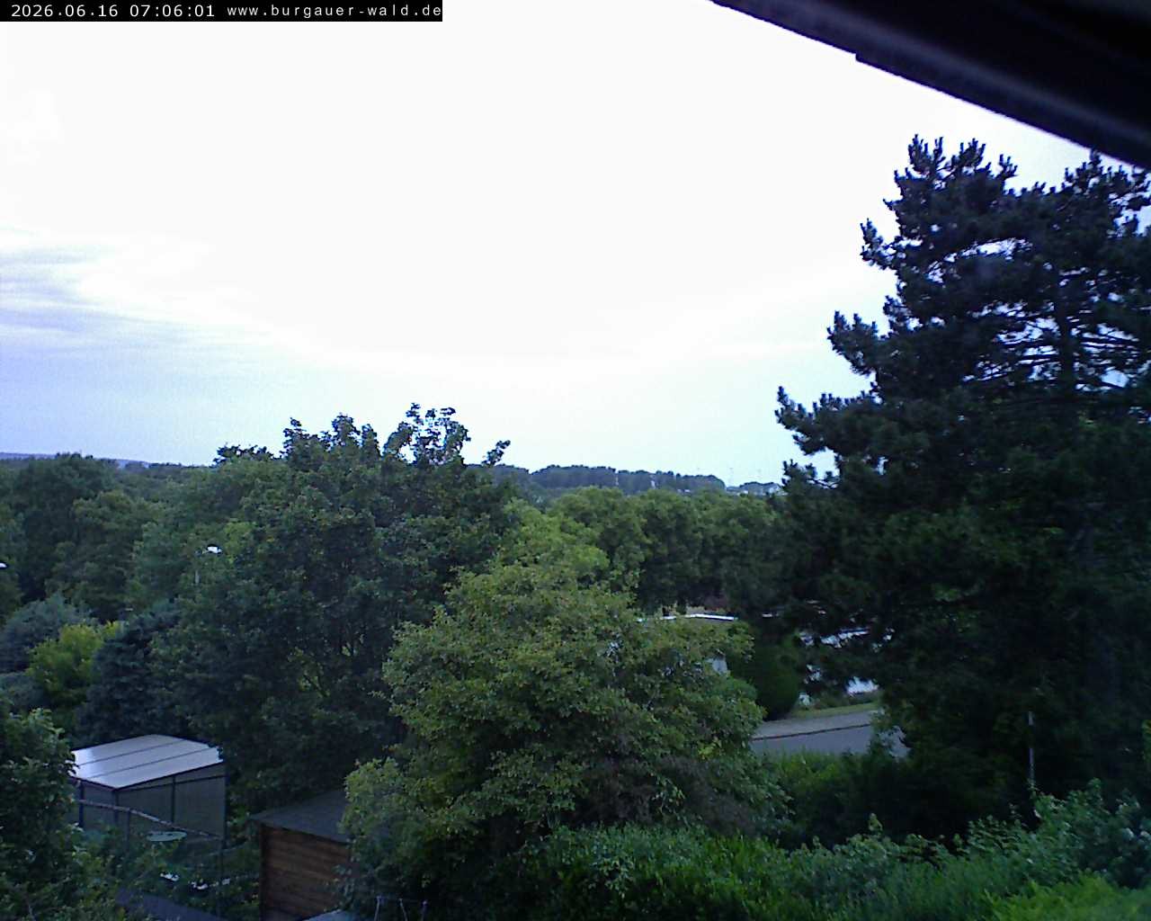 Archiv Foto Webcam Burgauer Wald