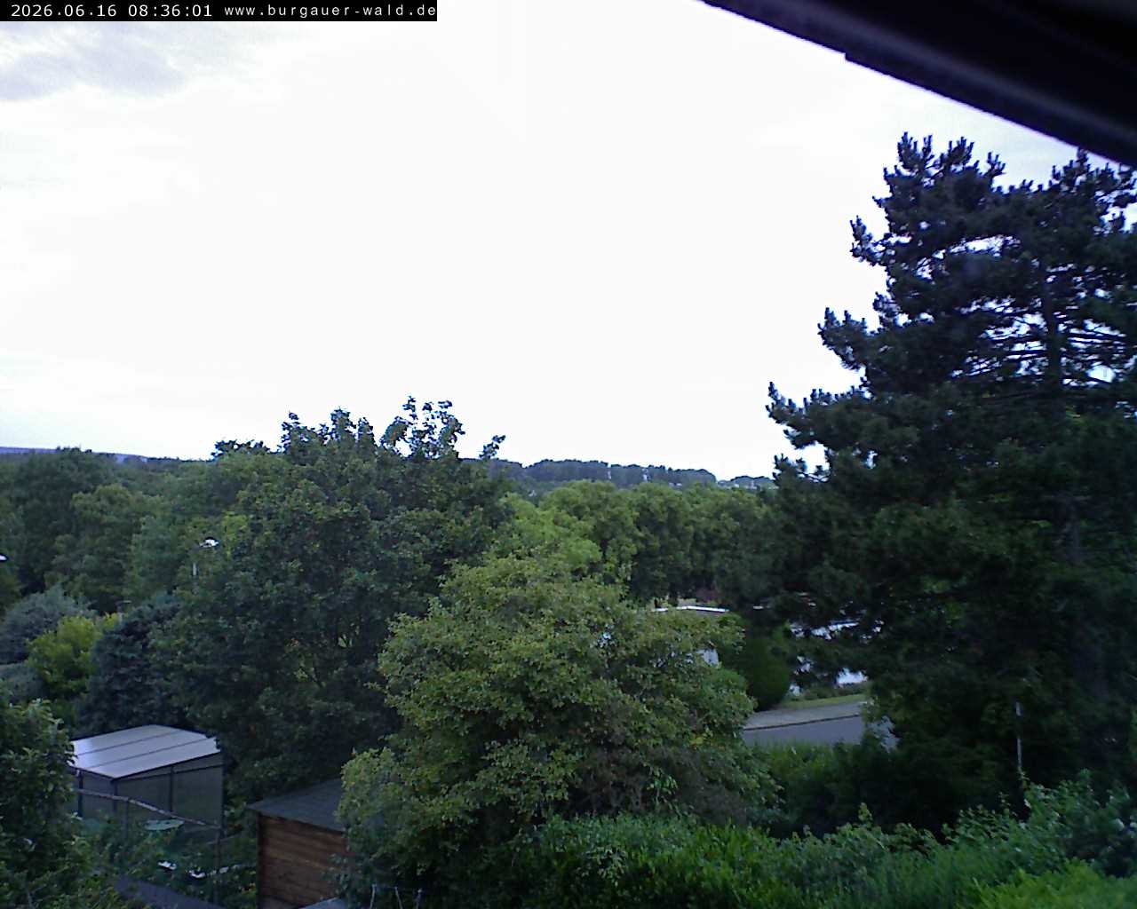 Archiv Foto Webcam Burgauer Wald
