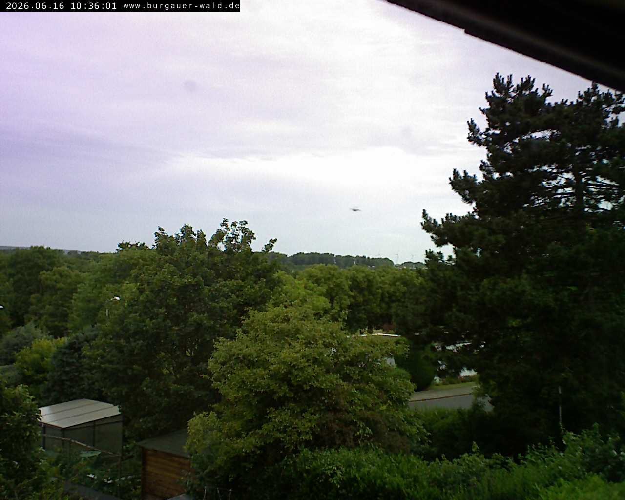 Archiv Foto Webcam Burgauer Wald