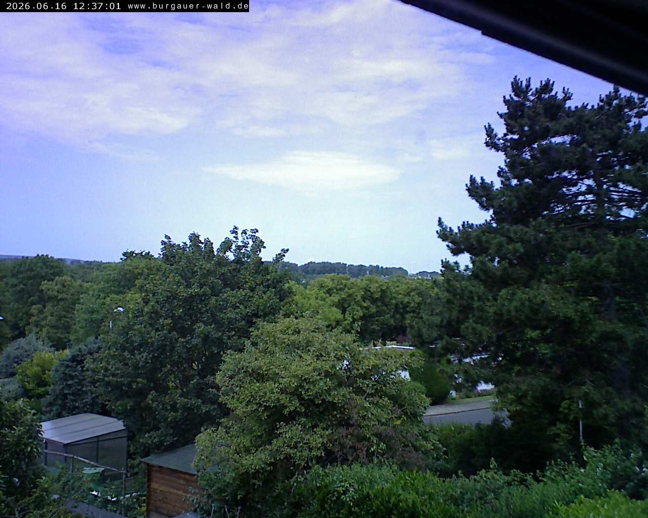 Archiv Foto Webcam Burgauer Wald