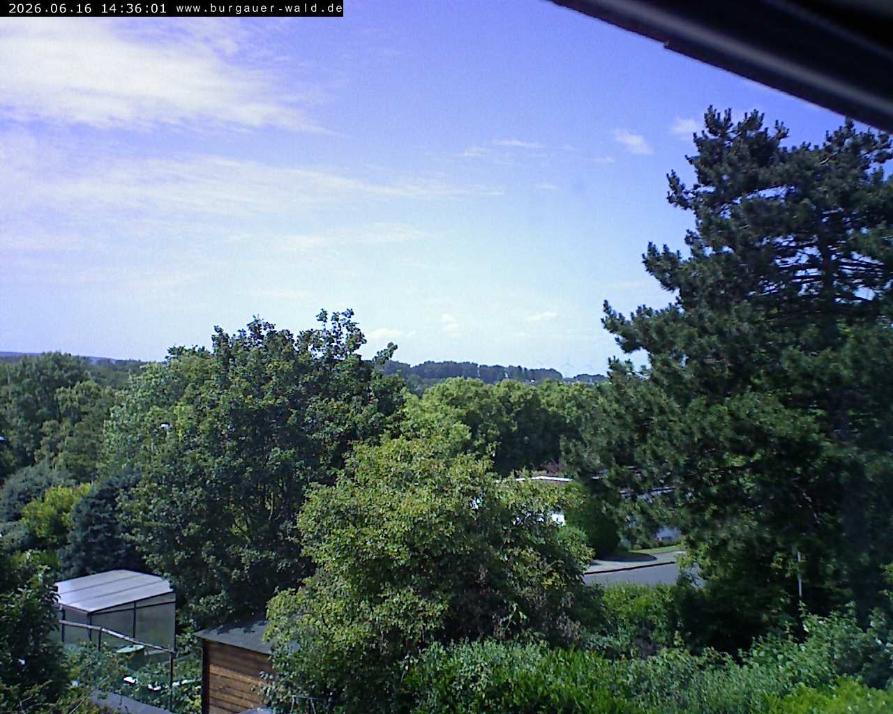 Archiv Foto Webcam Burgauer Wald