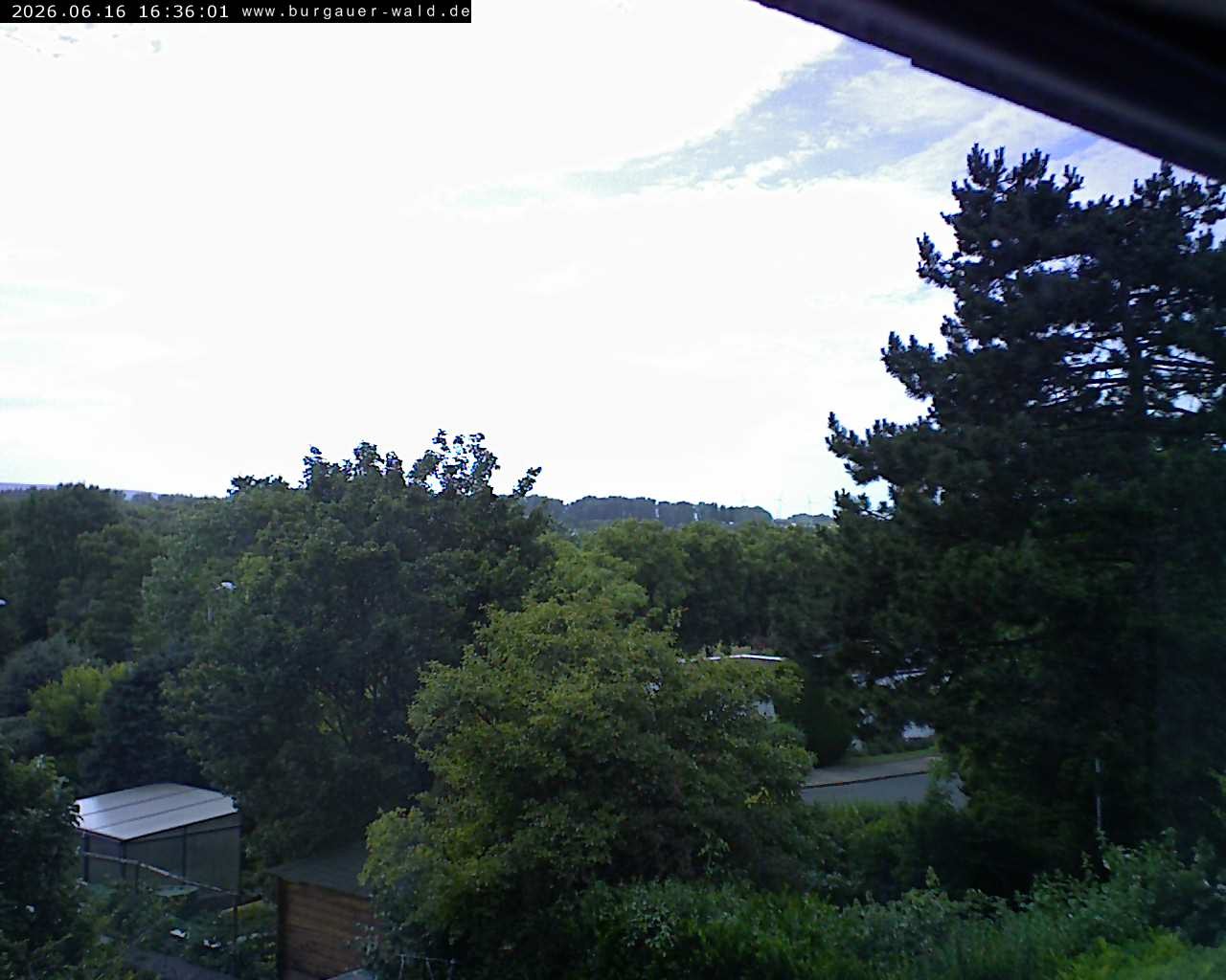 Archiv Foto Webcam Burgauer Wald