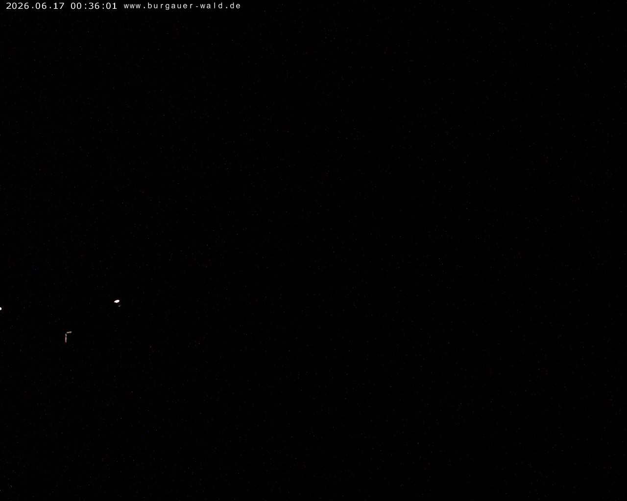 Archived image Webcam Burgauer Wald in North Rhine-Westphalia